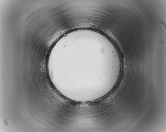 X0000102380834200808291359