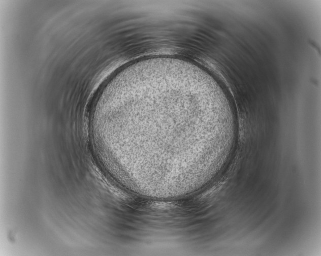 X0000102380835200808291359