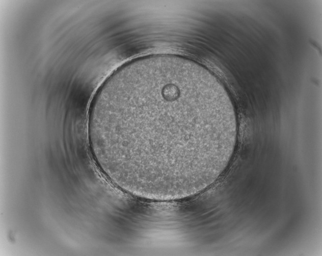 X0000102380836200808291359