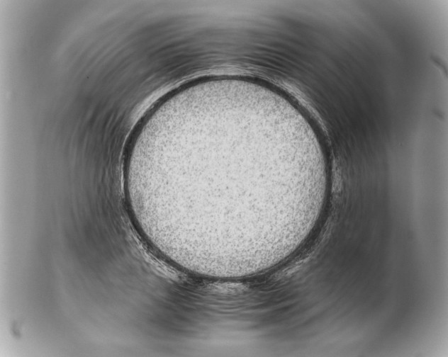 X0000102380837200808291359