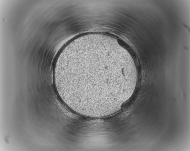 X0000102380838200808291359