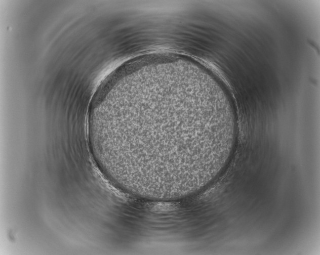 X0000102380839200808291359