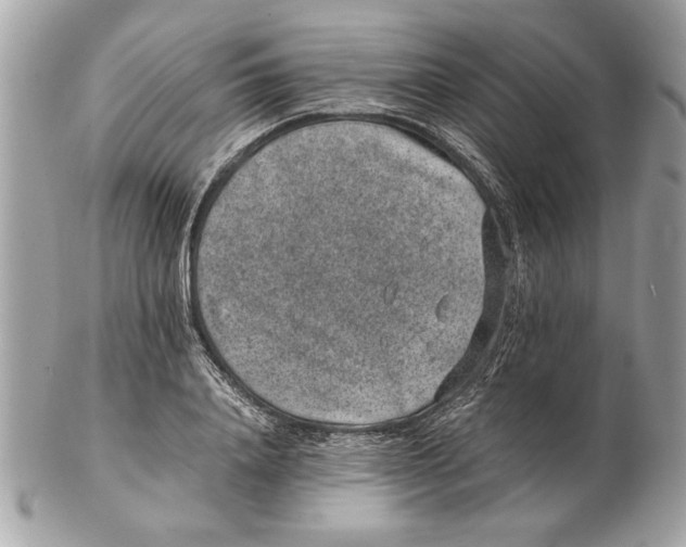 X0000102380840200808291359