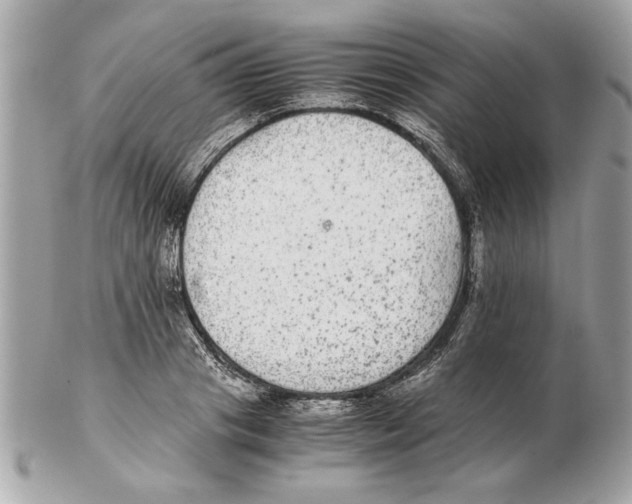 X0000102380841200808291359