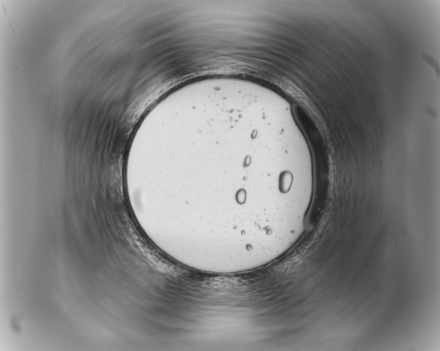 X0000102380842200808291359