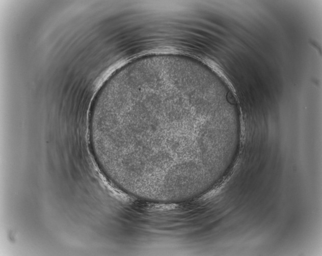 X0000102380845200808291359