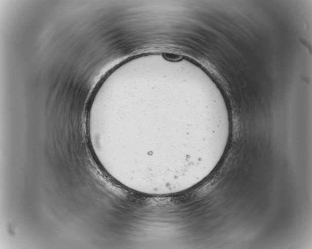 X0000102380846200808291359