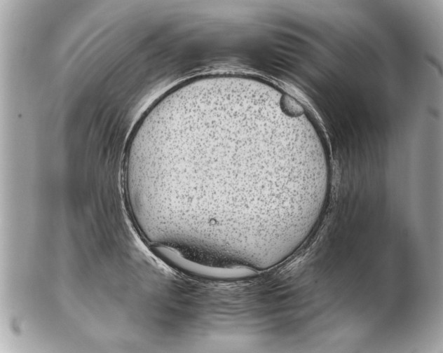 X0000102380847200808291359