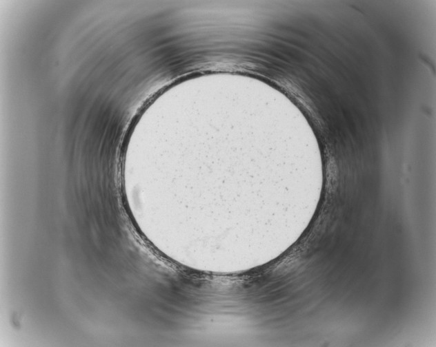 X0000102380848200808291359