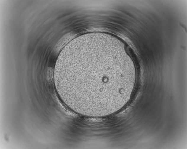 X0000102380849200808291359