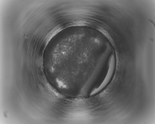 X0000102380850200808291359