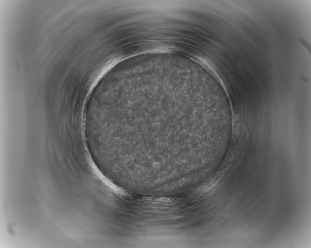 X0000102380851200808291359