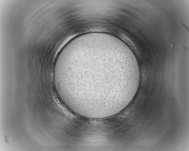 X0000102380852200808291359