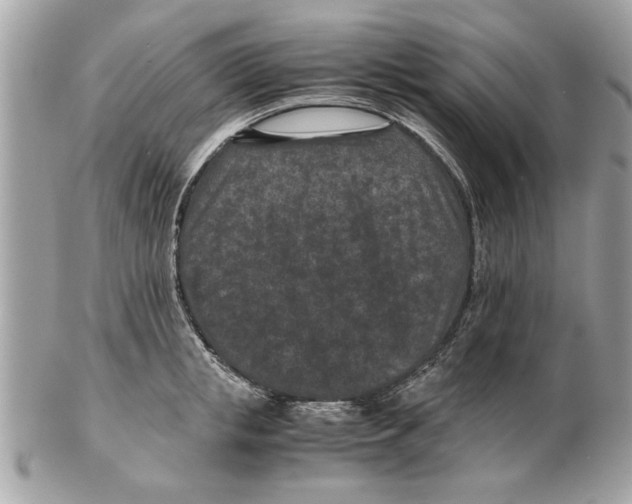 X0000102380853200808291359