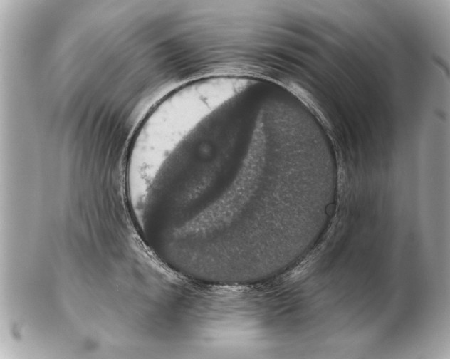 X0000102380854200808291359