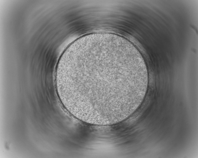 X0000102380856200808291359