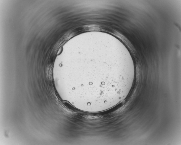 X0000102380857200808291359