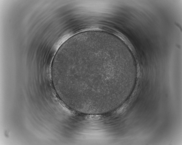 X0000102380858200808291359