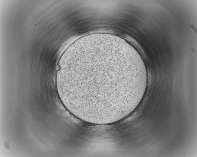 X0000102380860200808291359