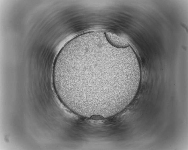 X0000102380861200808291359