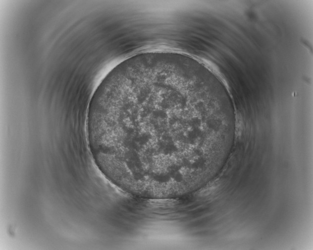 X0000102380863200808291359