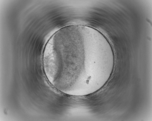 X0000102380864200808291359