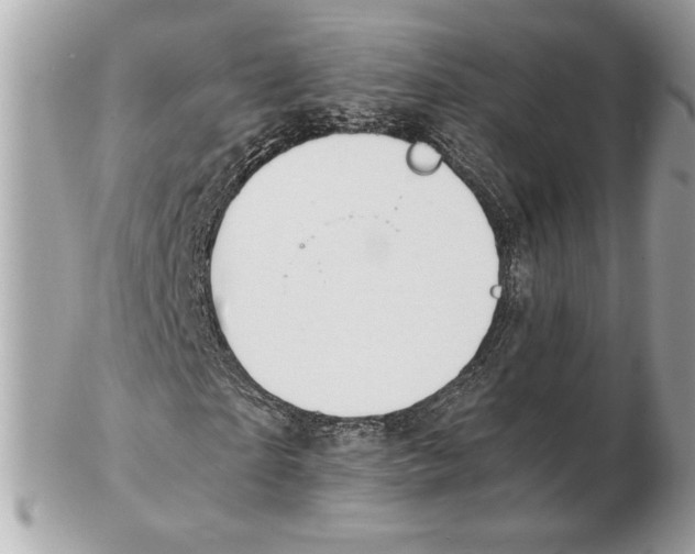 X0000102380865200808291359