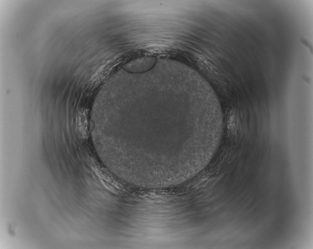 X0000102380868200808291359