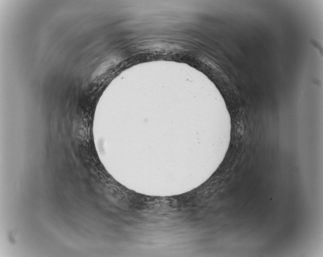 X0000102380869200808291359