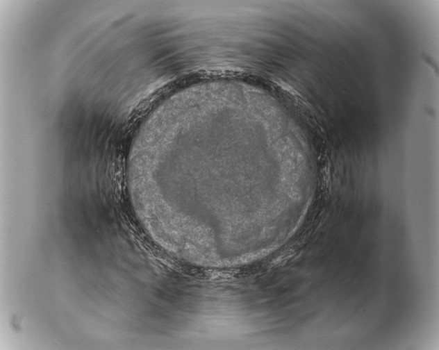 X0000102380870200808291359