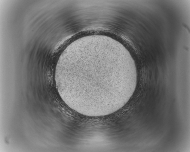 X0000102380872200808291359