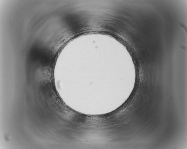 X0000102380873200808291359