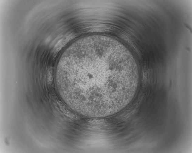 X0000102380874200808291359