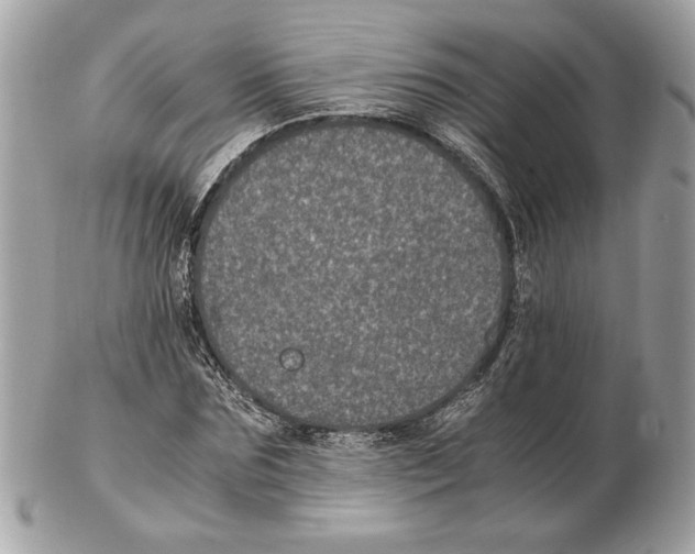 X0000102380875200808291359