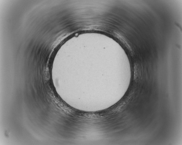 X0000102380876200808291359