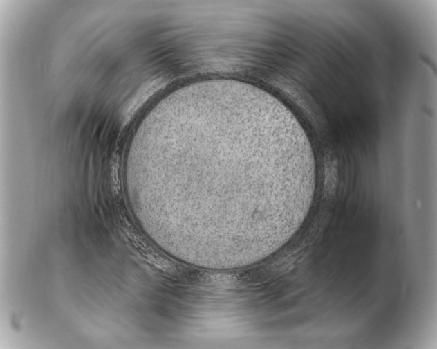 X0000102380878200808291359