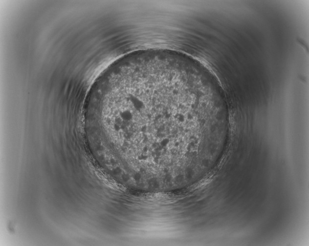 X0000102380879200808291359