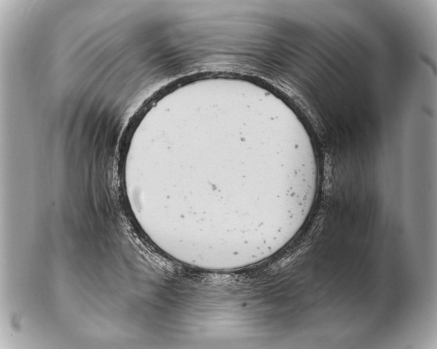 X0000102380880200808291359