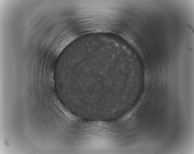 X0000102380881200808291359