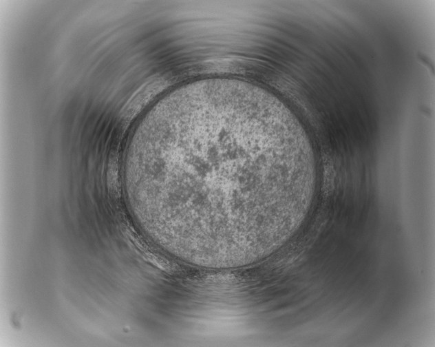 X0000102380882200808291358