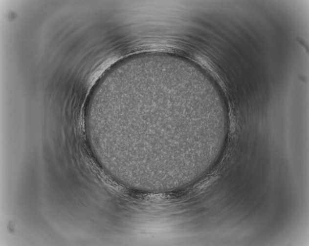 X0000102380883200808291358