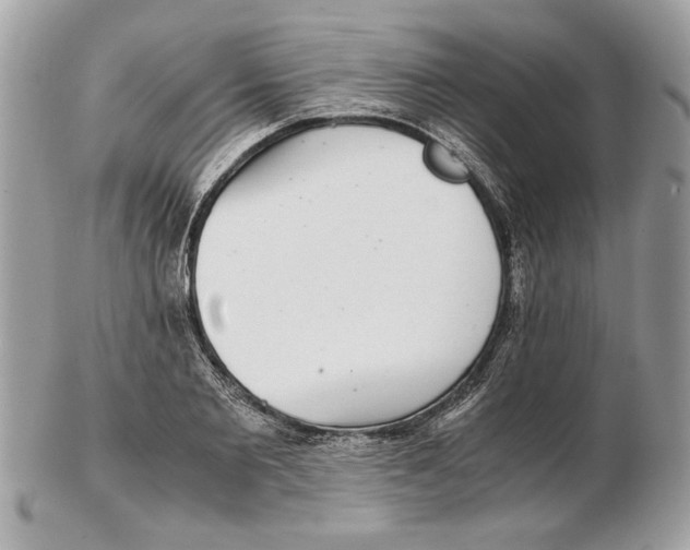 X0000102380885200808291358