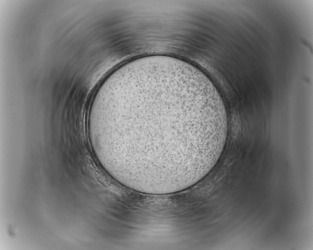 X0000102380886200808291358