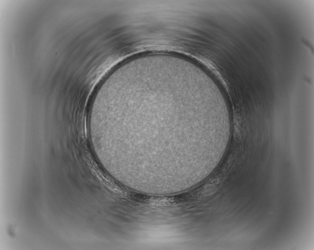 X0000102380887200808291358