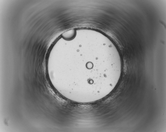 X0000102380888200808291358