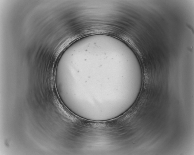 X0000102380890200808291358