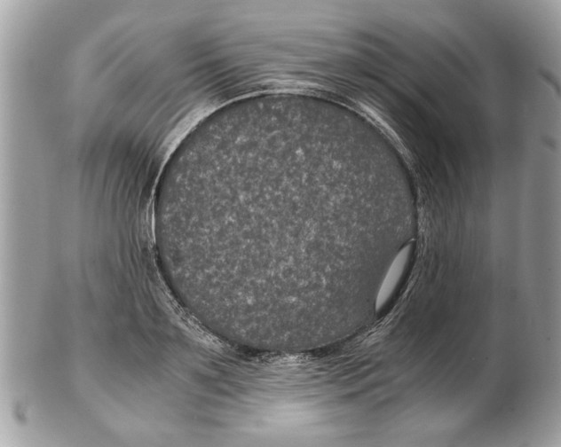 X0000102380891200808291358