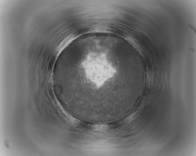 X0000102380893200808291358