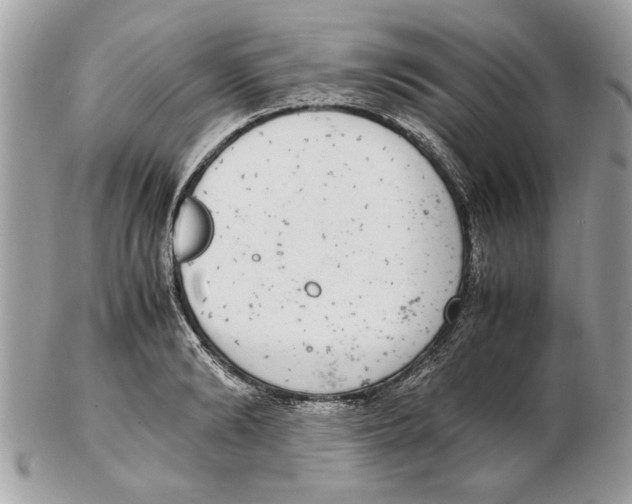 X0000102380894200808291358