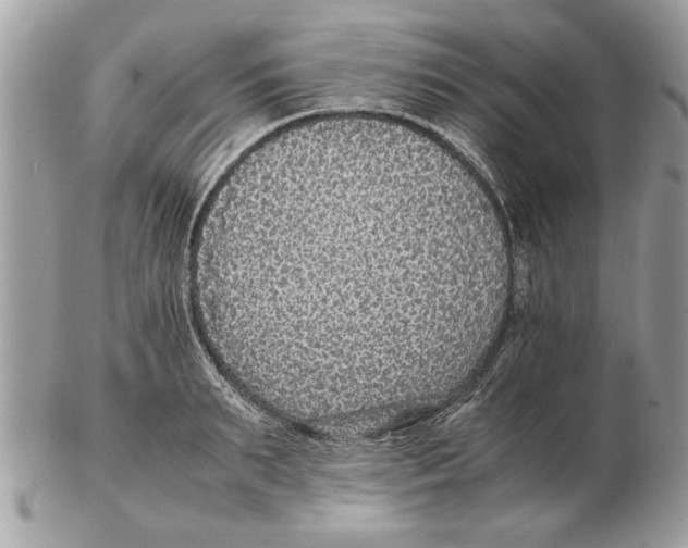 X0000102380895200808291358